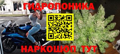 скорость Обь