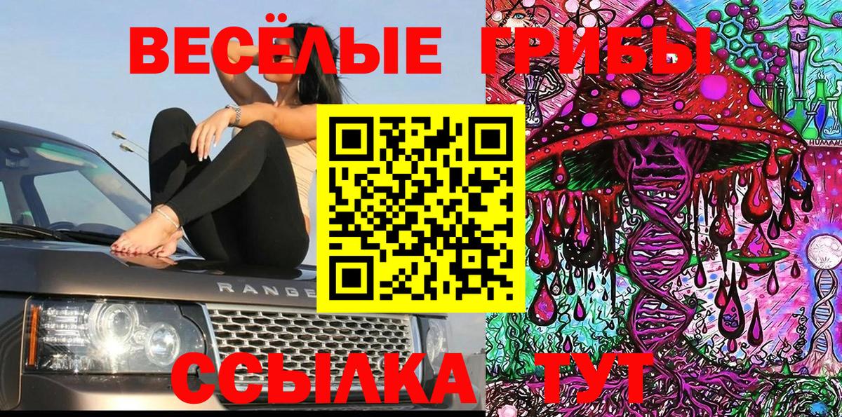 Галлюциногенные грибы Magic Shrooms Сланцы