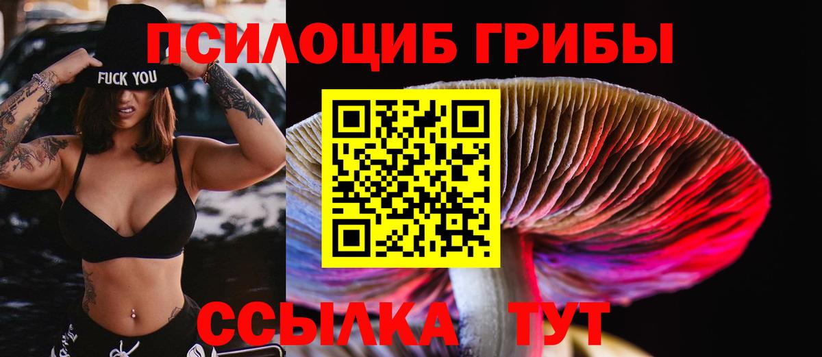 Сланцы  где можно купить   Вход с VPN  Псилоцибиновые грибы MAGIC MUSHROOMS 